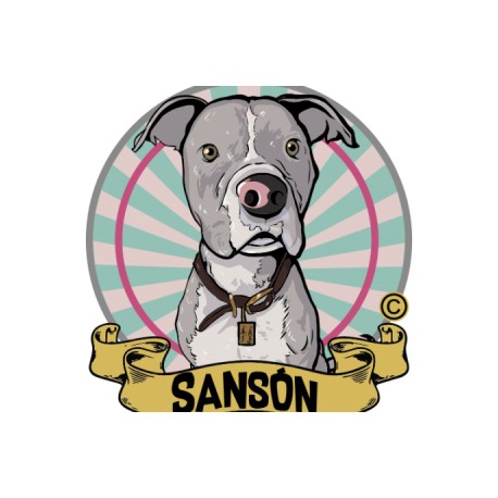 Sansón